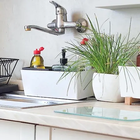 Gasthuis Ih & Espinho (Aveiro)